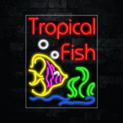 30711 LED Flex Sign 22" x 28"