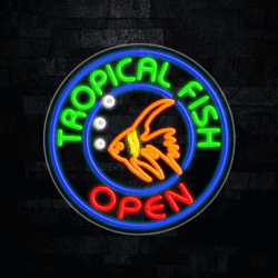 31342 LED Flex Sign 26" x 26"