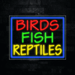 31664 LED Flex Sign 28" x 22"