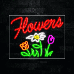31704 LED Flex Sign 28" x 22"