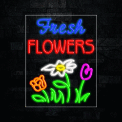 31708 LED Flex Sign 22" x 28"