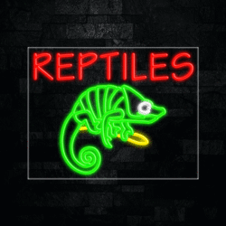 31772 LED Flex Sign 28" x 22"