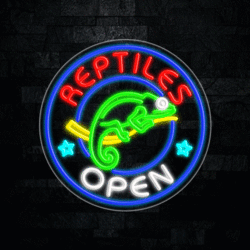 31830 LED Flex Sign 26" x 26"