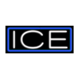10254 Neon Sign 32" x 13"