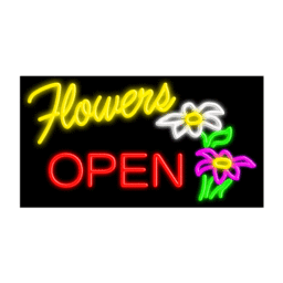 10678 Neon Sign 37" x 20"