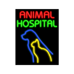 11653 Neon Sign 24" x 31"