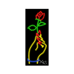 20176 LED Sign 27" x 11"