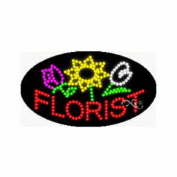 24043 LED Sign 27" x 15"