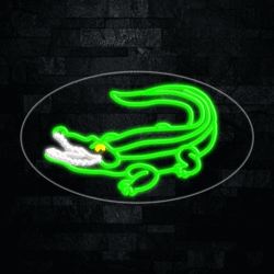 34569 LED Flex Sign 28" x 16"