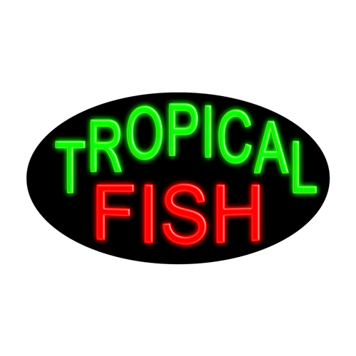 14205 Neon Sign 30" x 17"