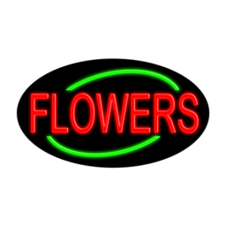 14206 Neon Sign 30" x 17"