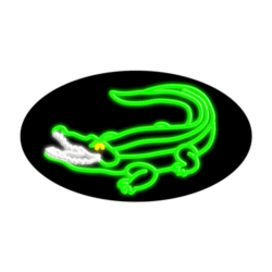 14569 Neon Sign 30" x 17"