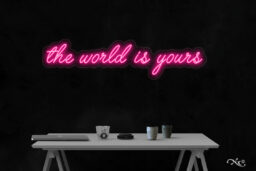 LF020 LED Flex Sign 11"x48"