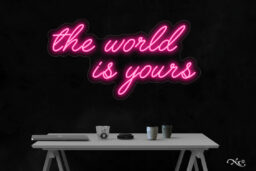 LF021 LED Flex Sign 19"x36"