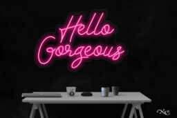 LF032 LED Flex Sign 20"x30"