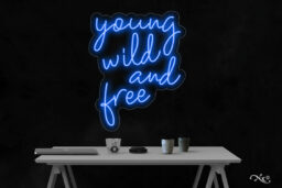 LF038 LED Flex Sign 26"x21"