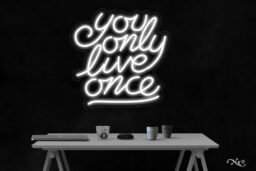LF059 LED Flex Sign 24"x24"