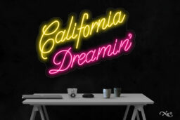 LF091 LED Flex Sign 21"x30"