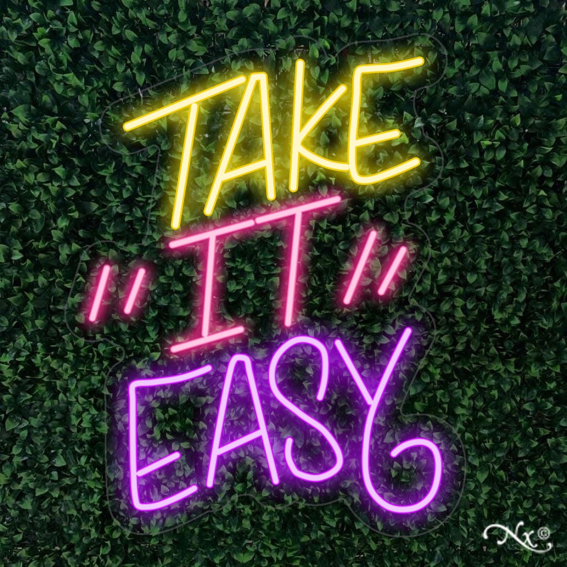 LF097 LED Flex Sign 19"x24" - Image 4