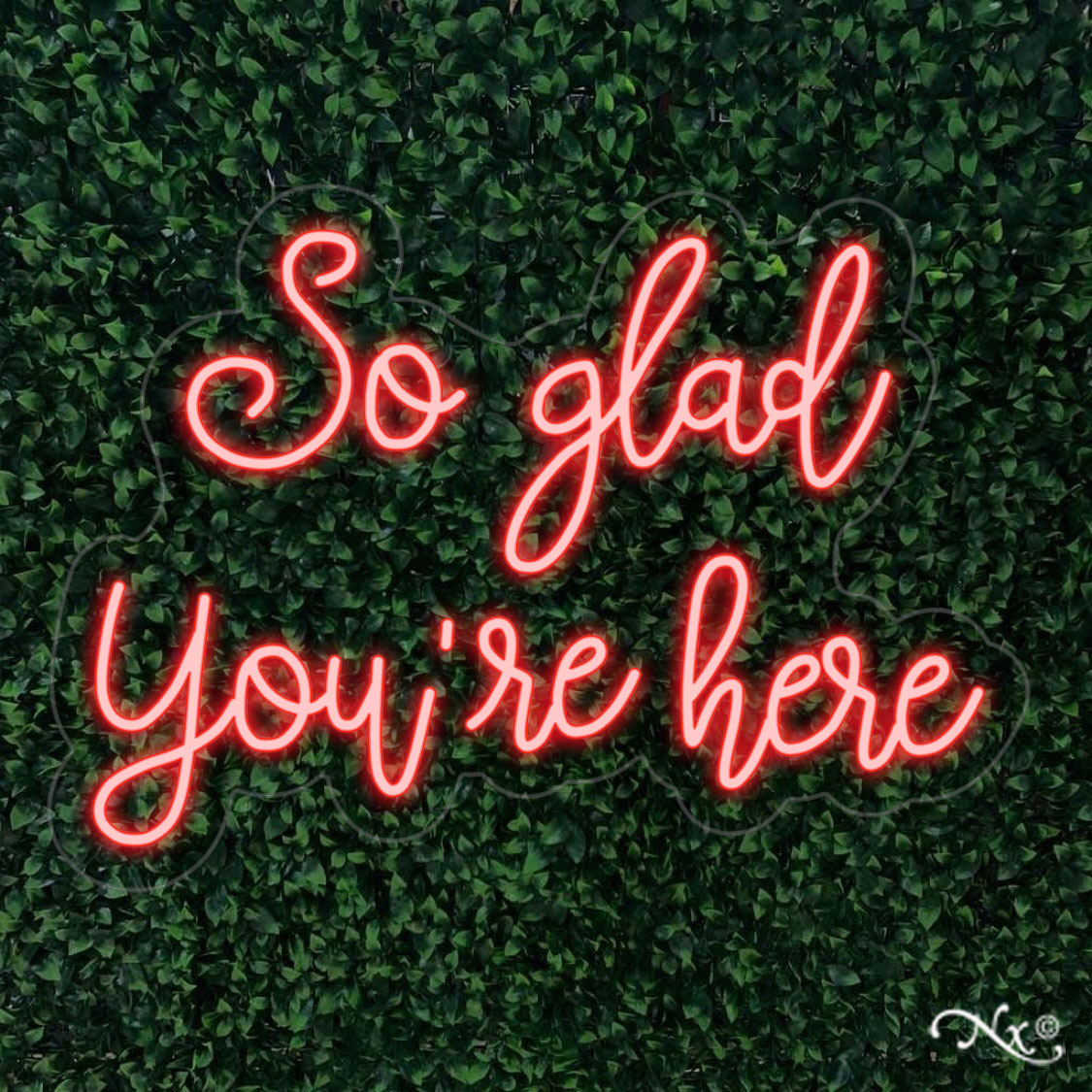 LF147 LED Flex Sign 25"x18" - Image 4