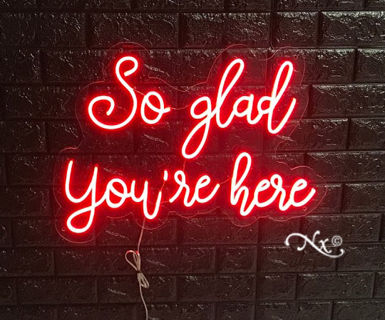 LF147 LED Flex Sign 25"x18" - Image 5