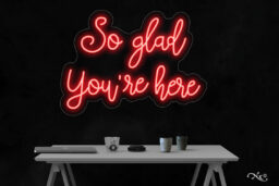 LF147 LED Flex Sign 25"x18"