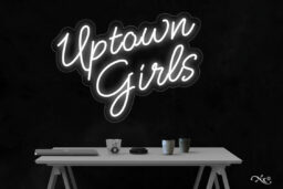 LF170 LED Flex Sign 28"x20"