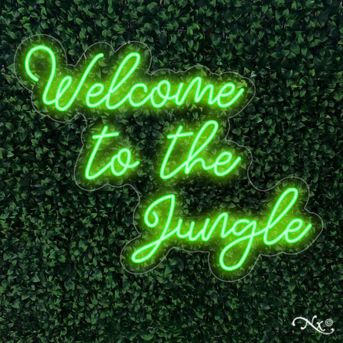 LF167 LED Flex Sign 30"x24" - Image 4