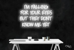 LF189 LED Flex Sign 30"x21"