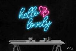 LF206 LED Flex Sign 24"x20"