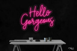 LF228 LED Flex Sign 30"x24"