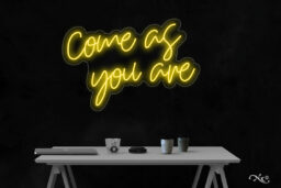 LF244 LED Flex Sign 30"x20"