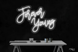 LF252 LED Flex Sign 30"x21"